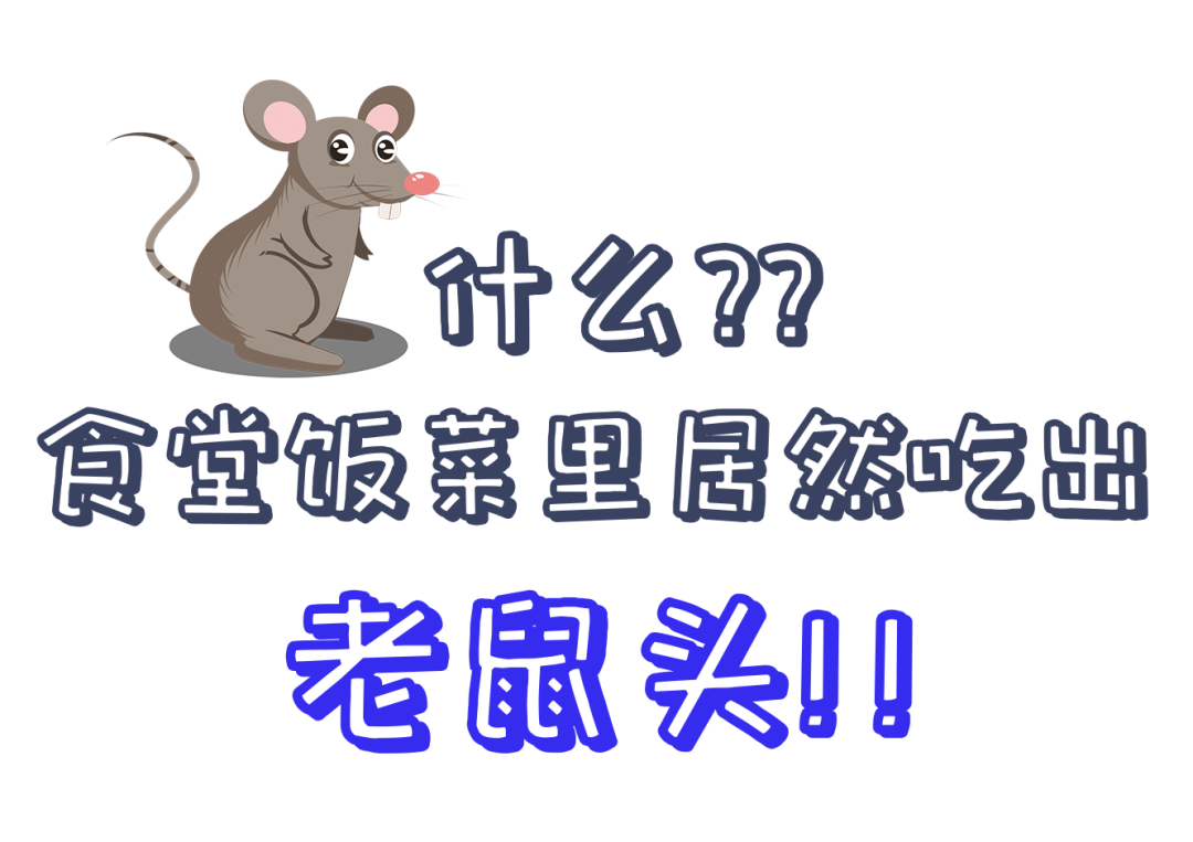 新澳2024澳门历史记录查询免费15